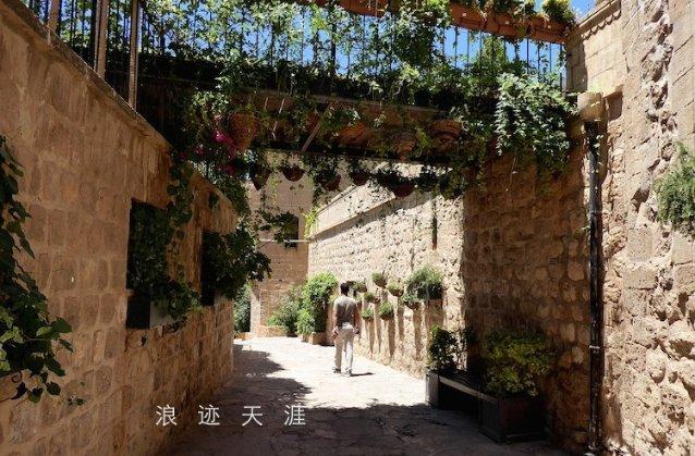 树共富镇域标杆 展工贸重镇风采